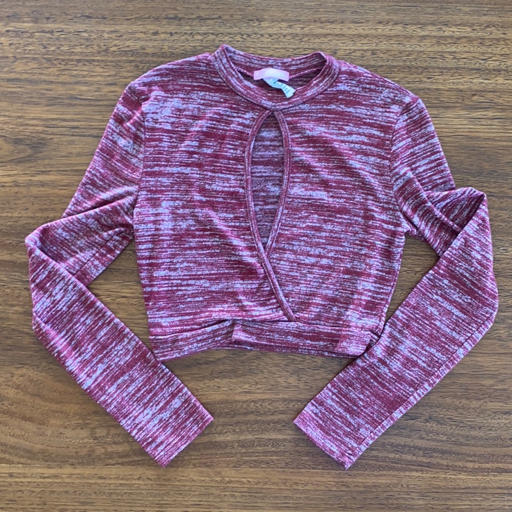 VS Know1 Maroon Long Sleeve Crop Top
